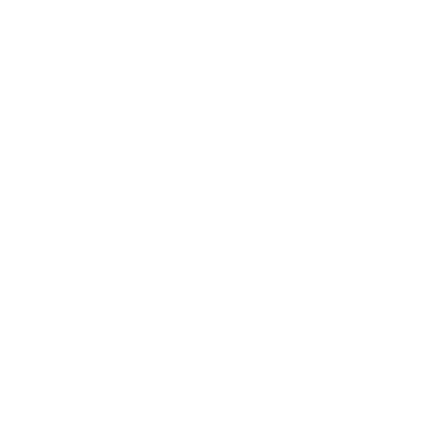 NINERS Chemnitz